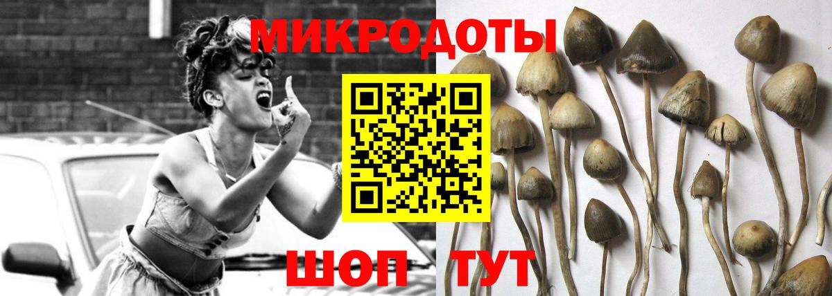 Галлюциногенные грибы Psilocybine cubensis Валуйки